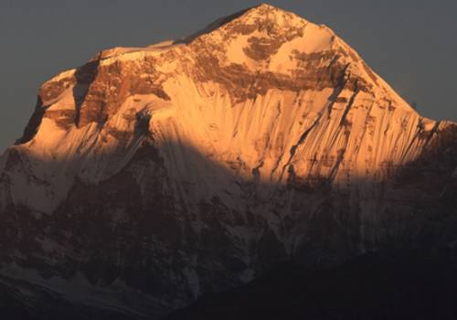 Dhaulagiri-Dhampus peak Tent Trekking