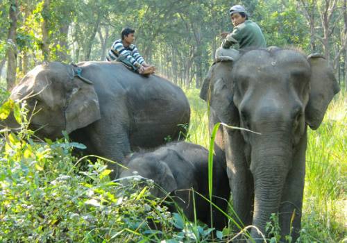 West Nepal Bardia National park Safari Tour